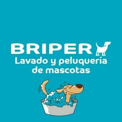 Logo de BRIPER